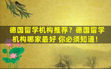 德国留学机构推荐？德国留学机构哪家最好 你必须知道！